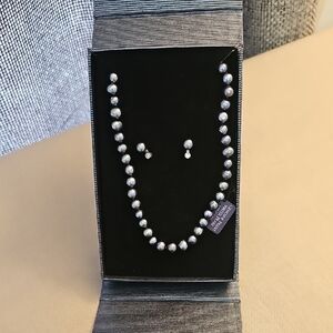 Elegant Silver Pearl Necklace and Earring Set